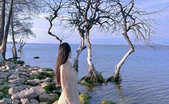 玩异少妇一区二区A片